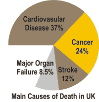 Main Causes of Death in UK